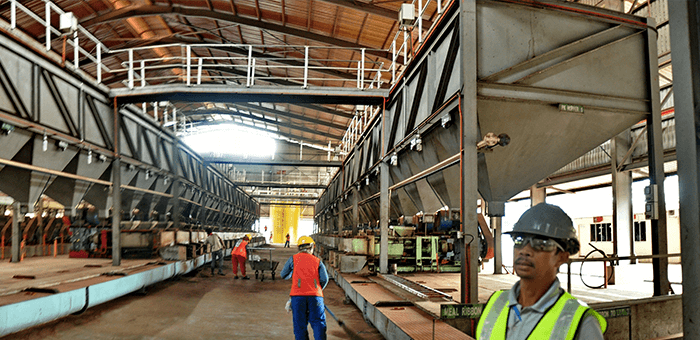 belt-conveyor