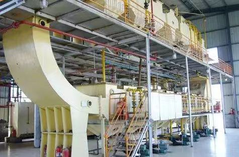 belt-conveyor