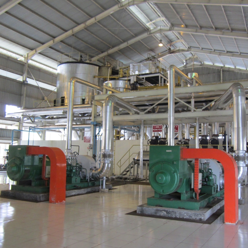 belt-conveyor
