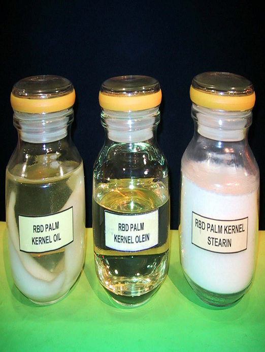 Malaysia seeks to expand palm oil exports