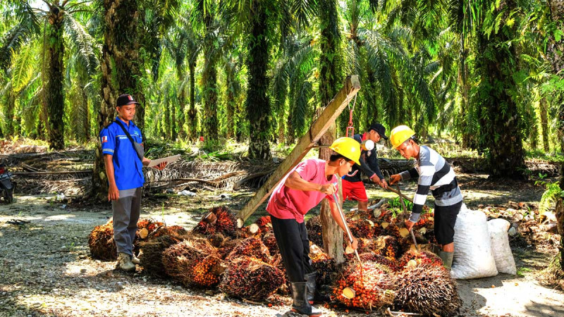ASEAN Should Demand Equal Market Access from EU and China as Malaysia Strengthens Ties With Bloc