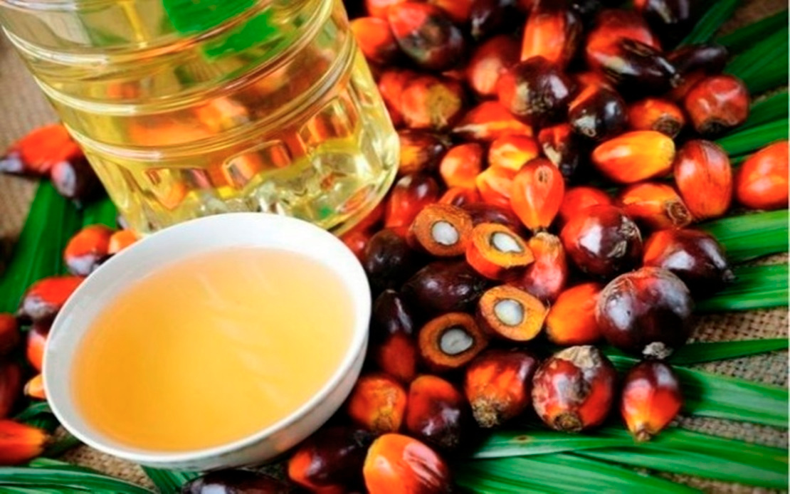   Business AI slashes palm oil labour needs by 45%