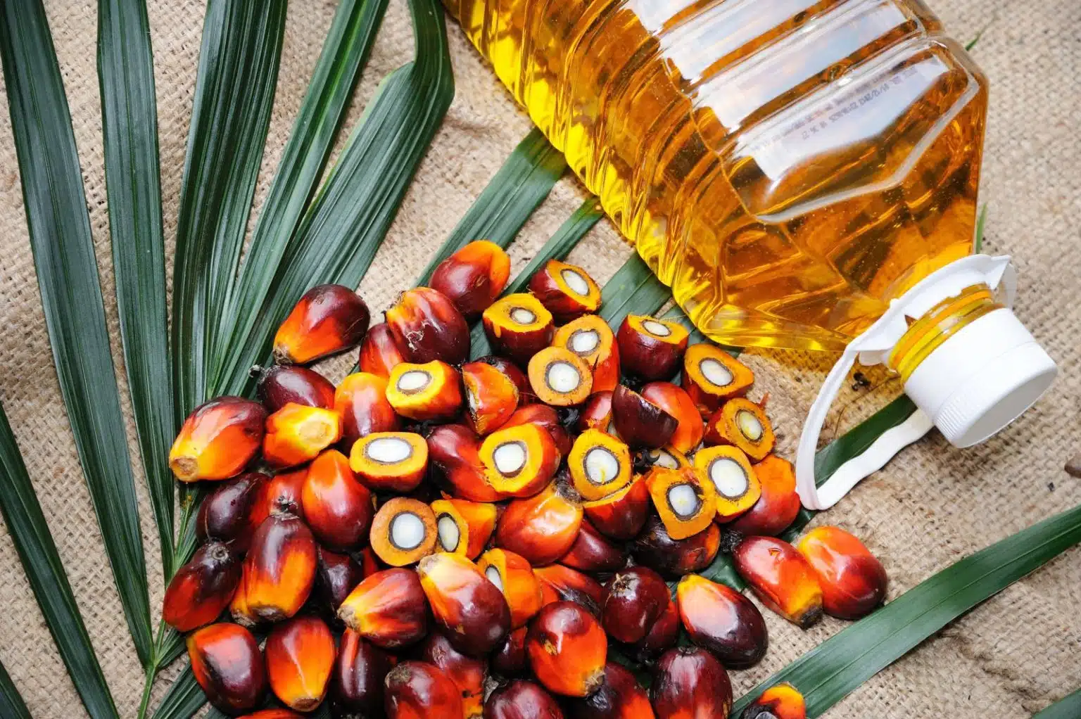 The palm oil journey you didn’t know
