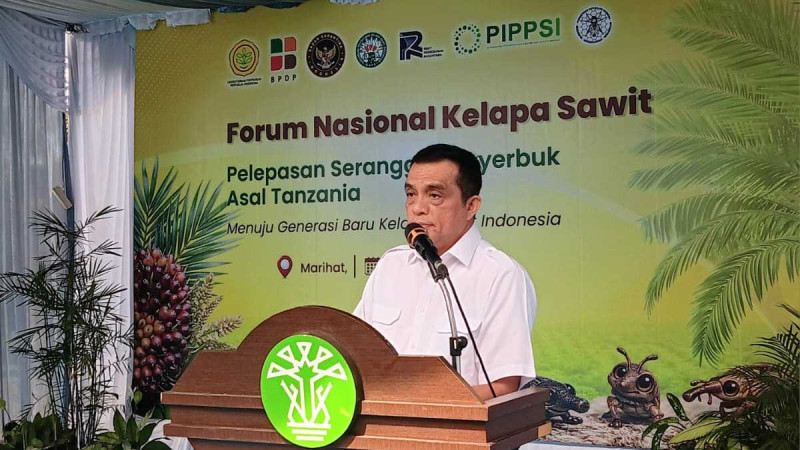 PTPN IV PalmCo Ready to Pilot Superior Oil Palm Pollinating Insects