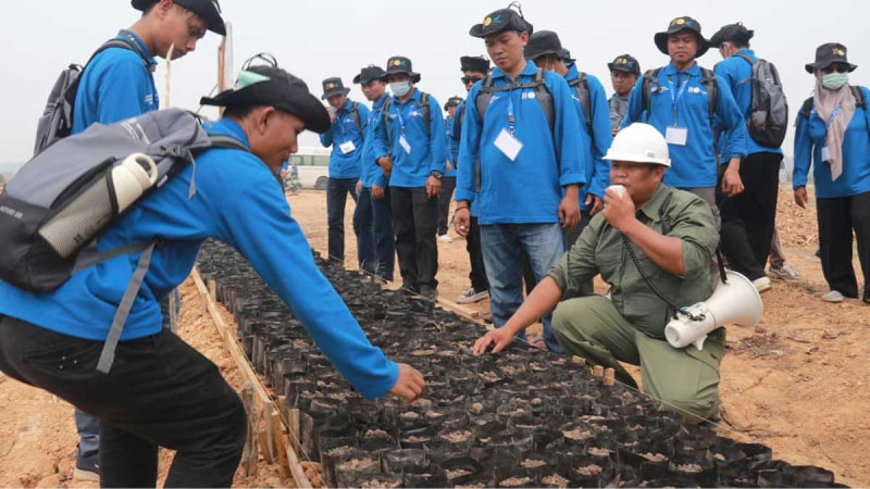 Indonesian Palm Oil Smallholders Urged to Choose Certified Seeds as Training Reaches 176 Farmers
